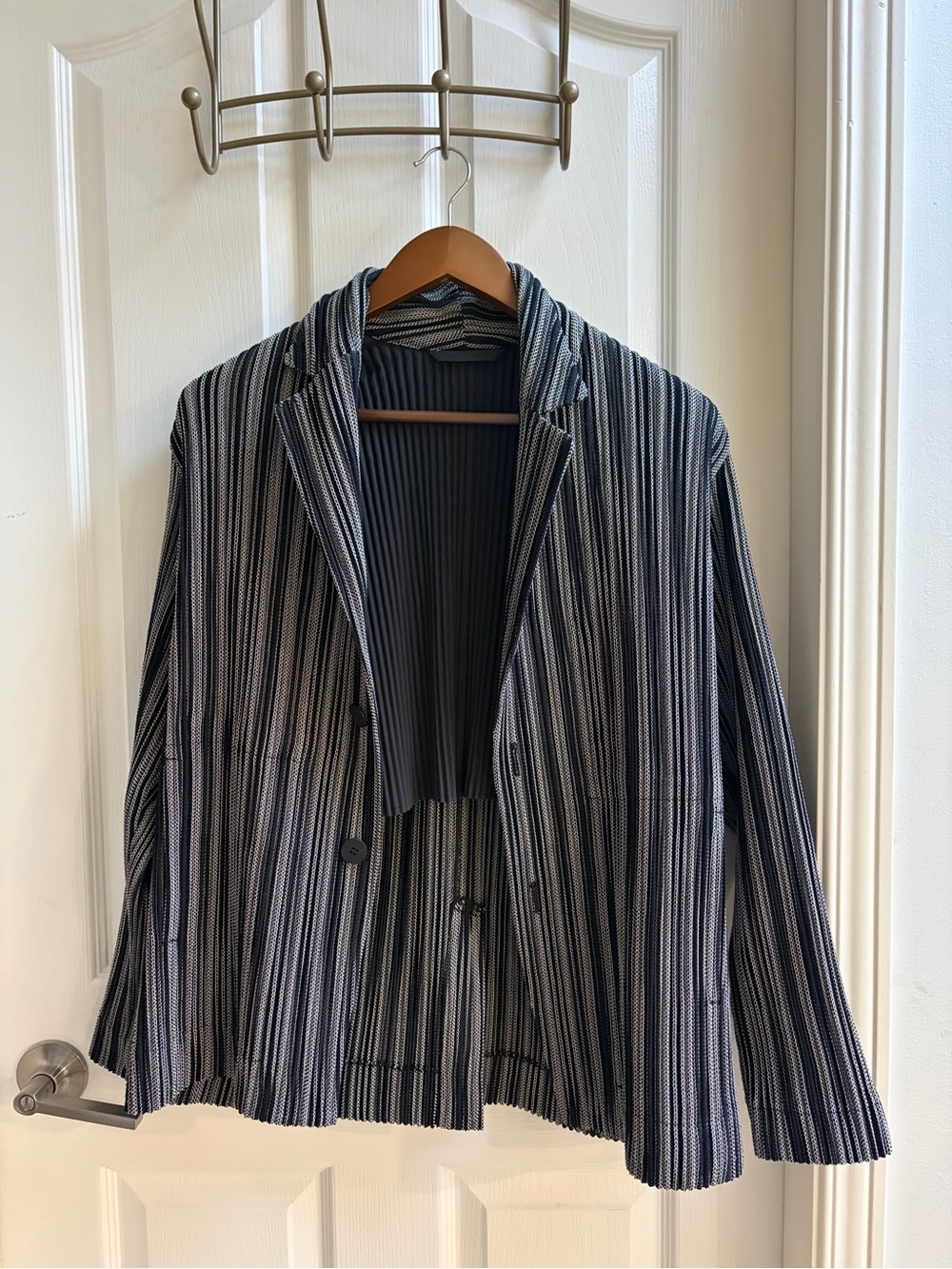 Homme Plisse Issey Miyake 22SS Leno Pleated Stripe Tailored Jacket